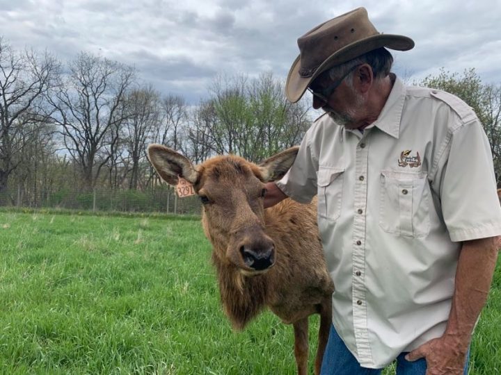 Farmer Salute with Elk Farmer Joel Espe